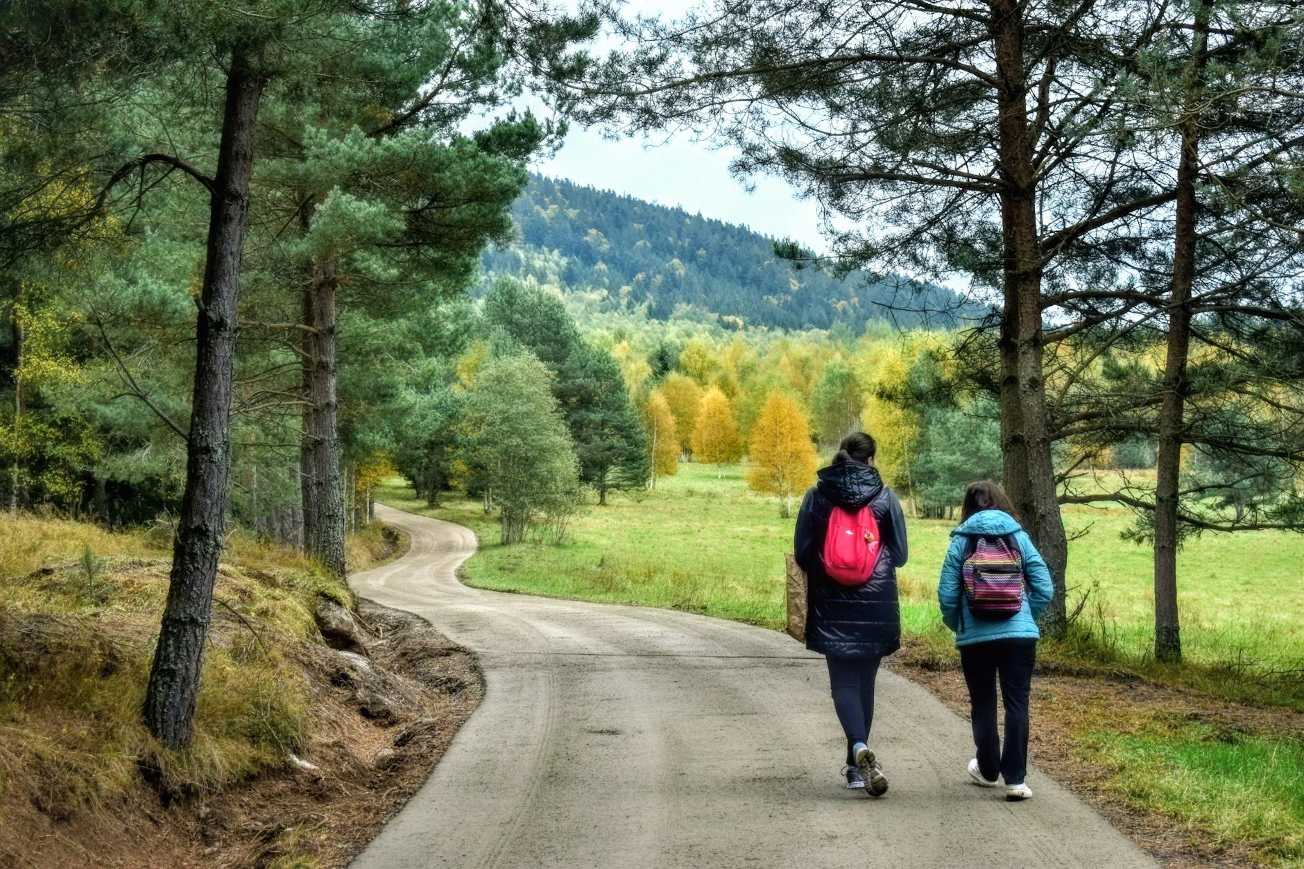Hajnówka: Odkryj Urokliwe Trasy Spacerowe Blisko Miasta